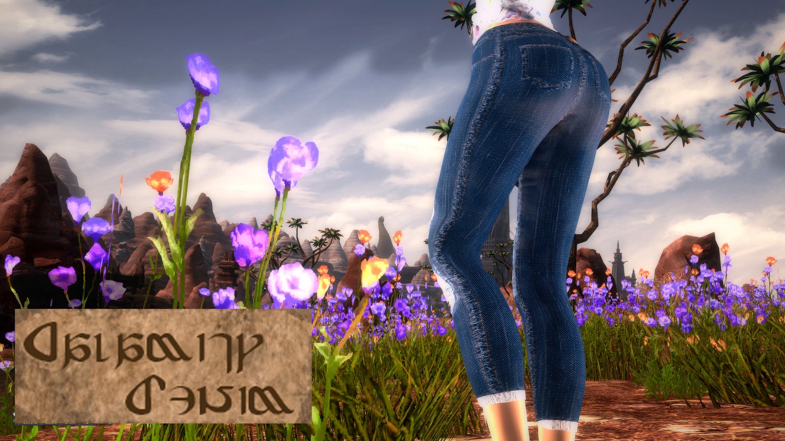 Calamity Denim Plus