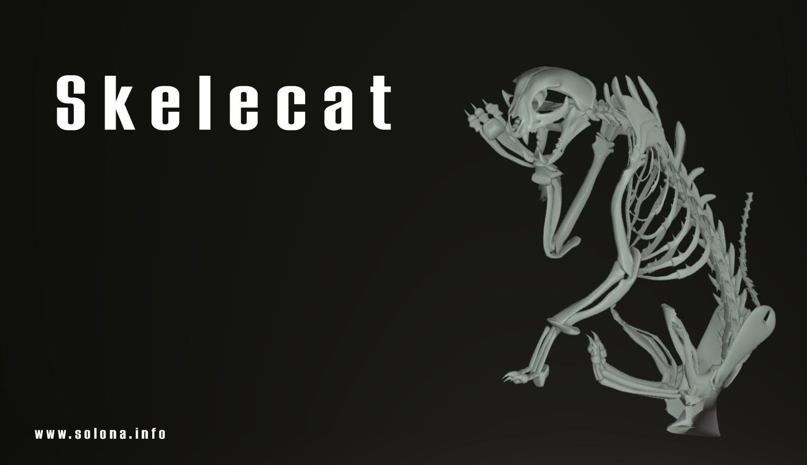 Skelecat