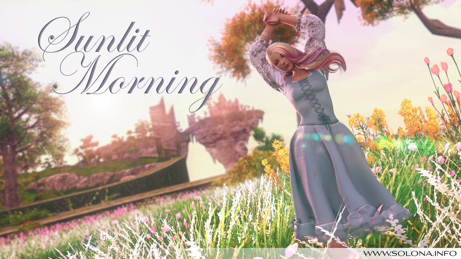 Sunlit Morning (1)